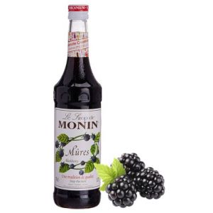 MONIN Blueberry Syrup 700ml