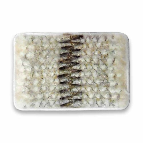 VIETNAM Frozen Nobashi Ebi Vannamei 16/20 260GM