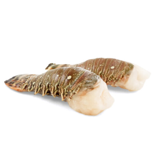 BRAZIL Frozen Lobster Tail Wild Caught 9-10 (KG)